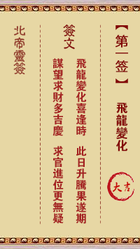 飞龙变化