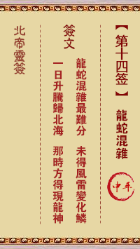 龙蛇混杂