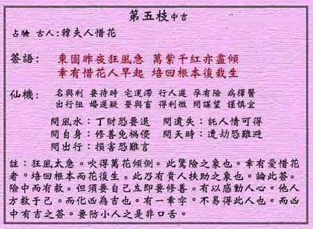 韩夫人惜花