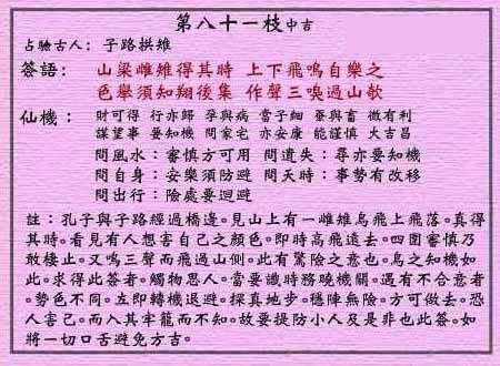 雌雉朝圣