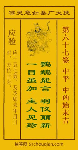 鹦鹉能言
